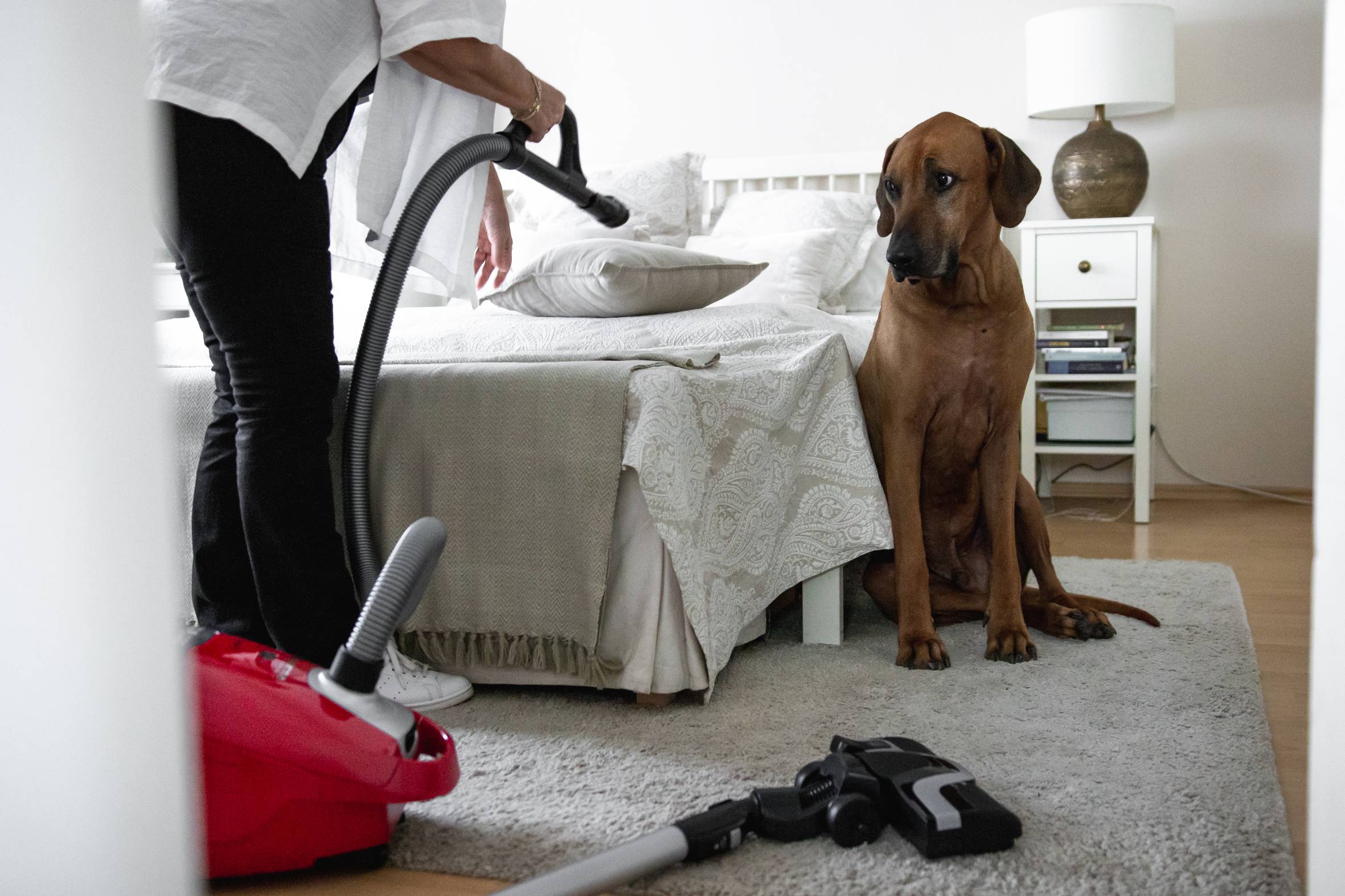 Silence Force Allergy+ Home & Car RO7793