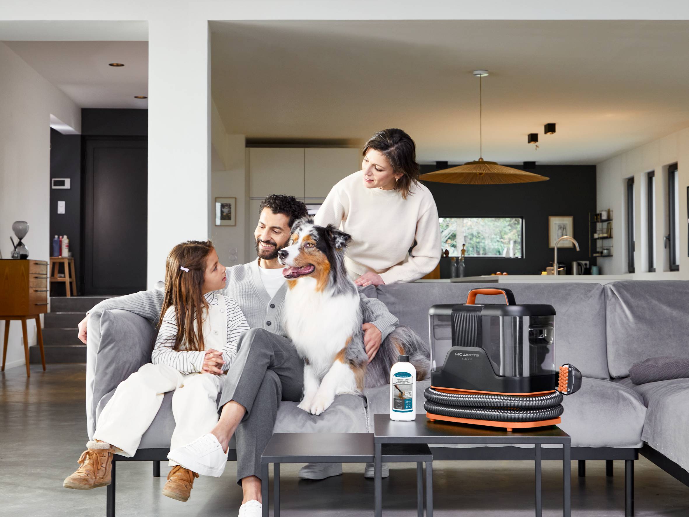 Polstermöbel- und Teppichreinigungslösung – Bei Verschmutzung durch Haustiere XD5320F0 – 1L