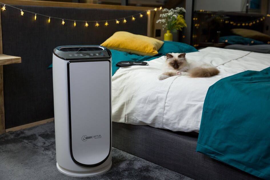 Intense Pure Air XL Connect PU6080