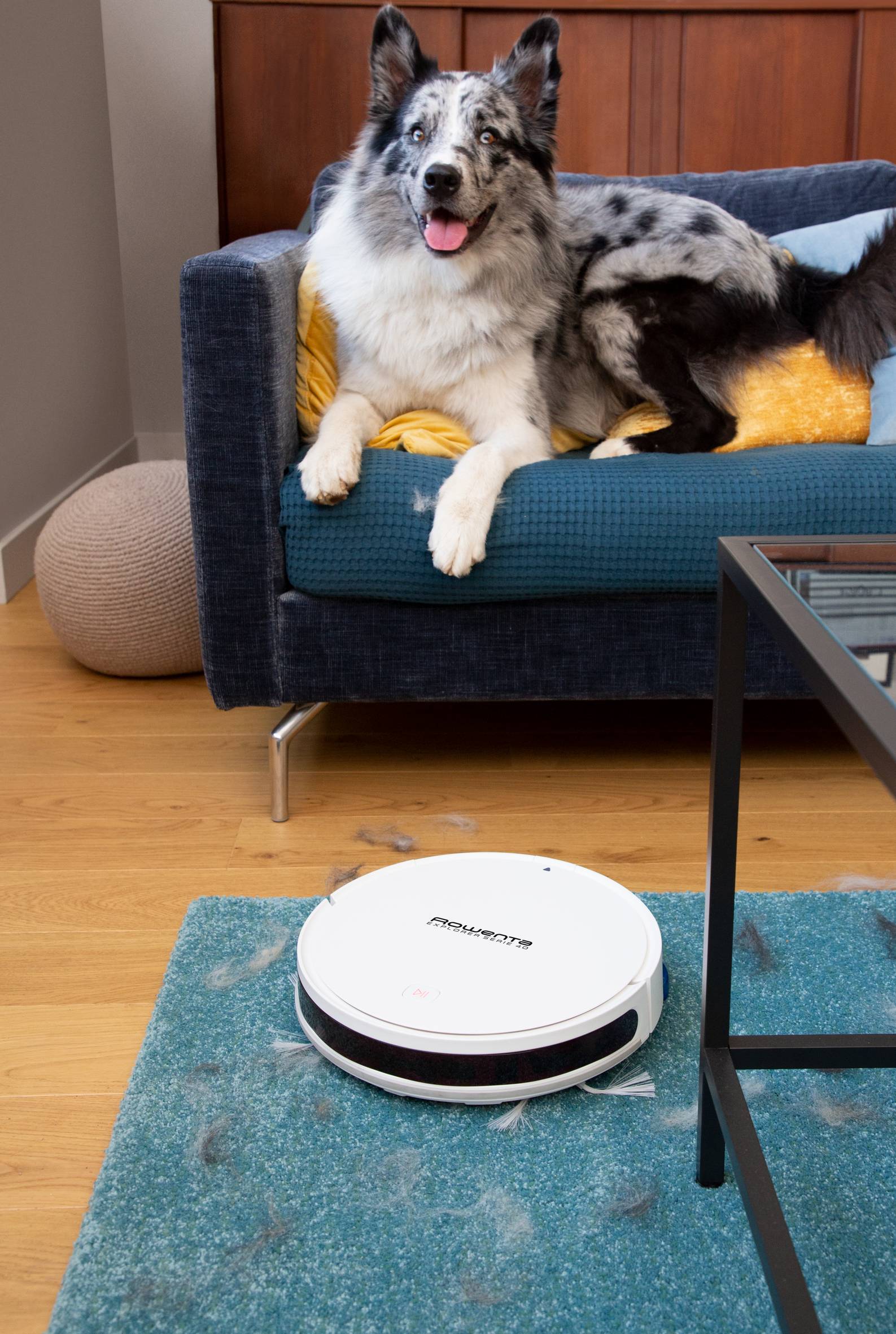 X-plorer Serie 40 Animal Connect RR7267