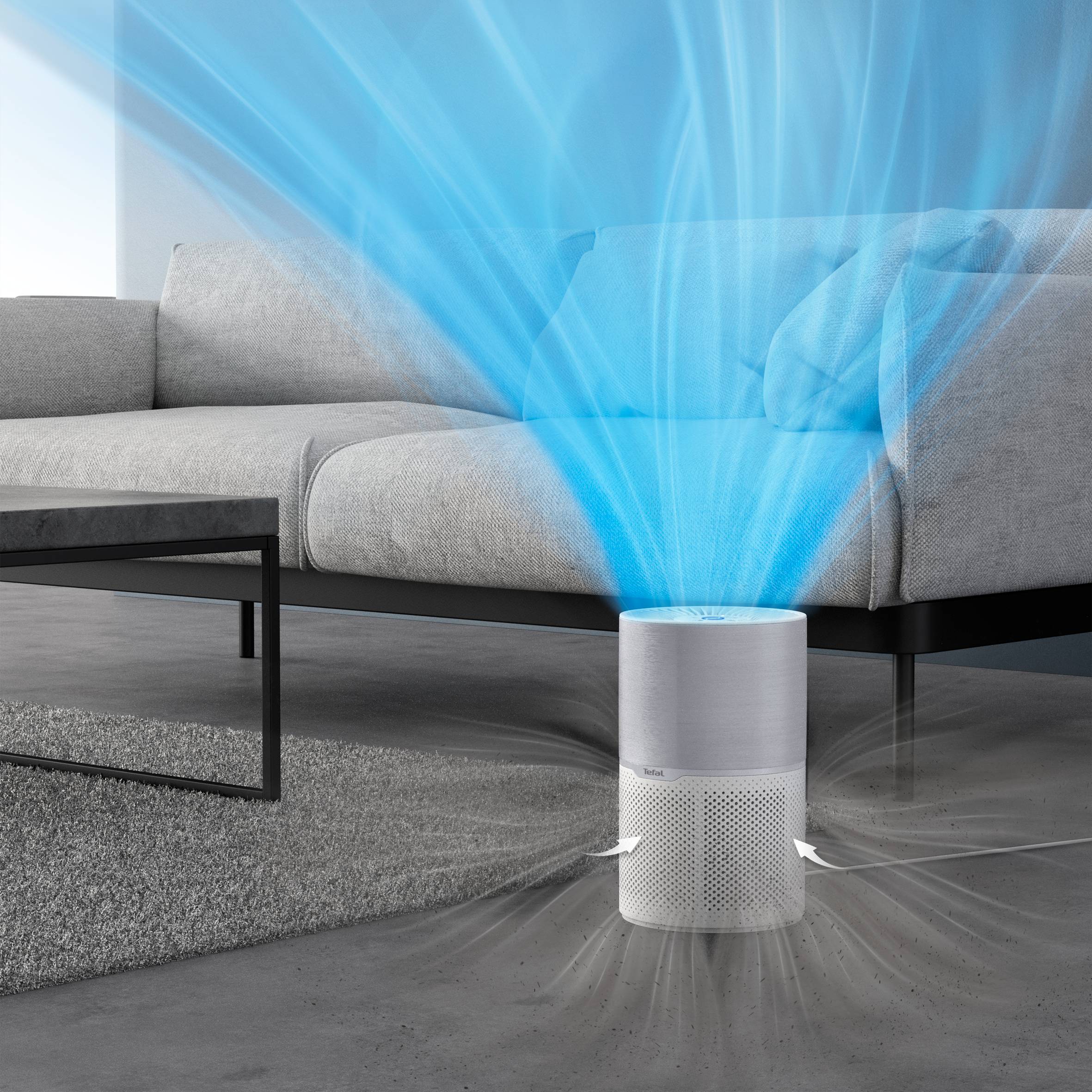 3-IN-1-FILTER: VORFILTER, AKTIVKOHLE UND HEPA ALLERGY+ XD6270F0