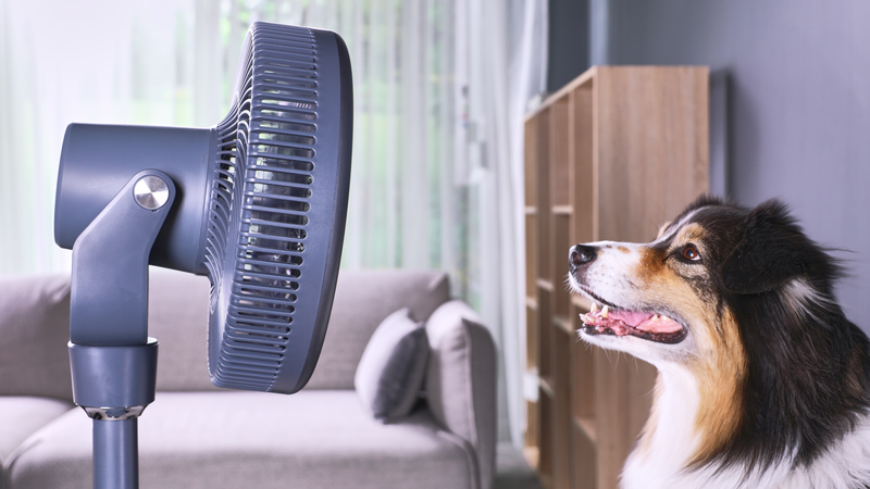 row-deat-hp-banner-ventilatoren.png